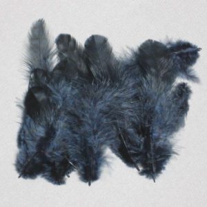 Hen Hackles